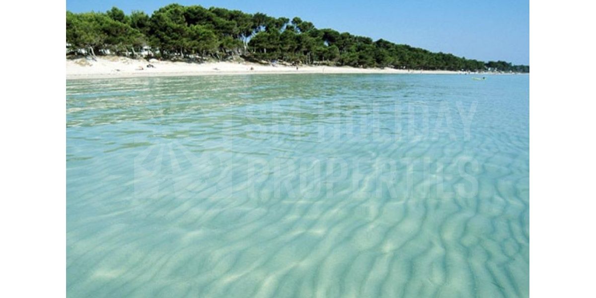 The beach of the bay of Alcudia is the largest of Mallorca.