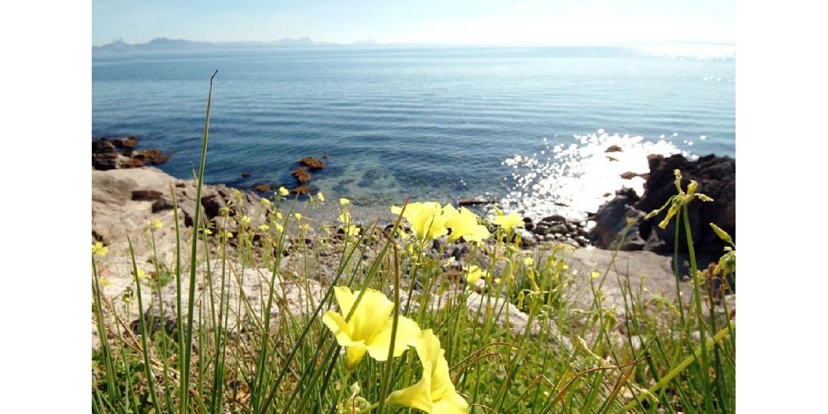 Oiza Playa Luxe está en un entorno de ensueño en el Mediterráneo más bello..